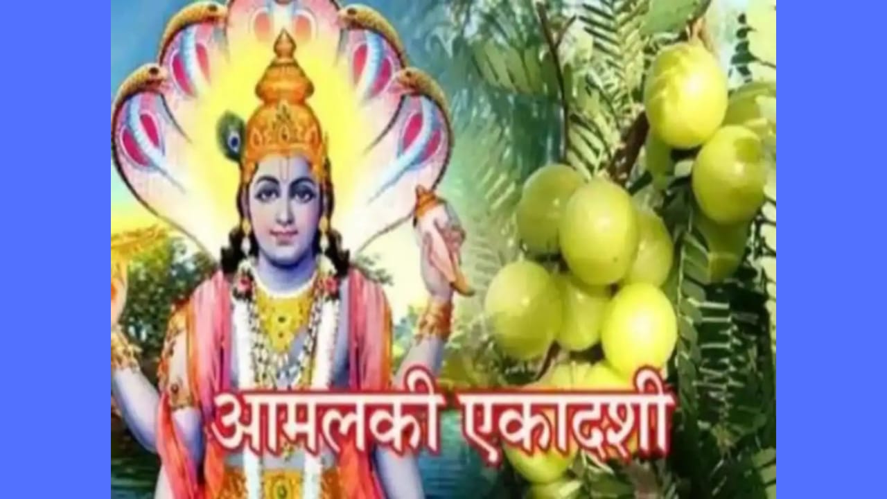 आमलकी एकादशीची व्रत कथा आणि महत्व - amalaki ekadashi